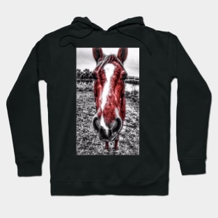 Why The Long Face?  - Graphic 1 Hoodie